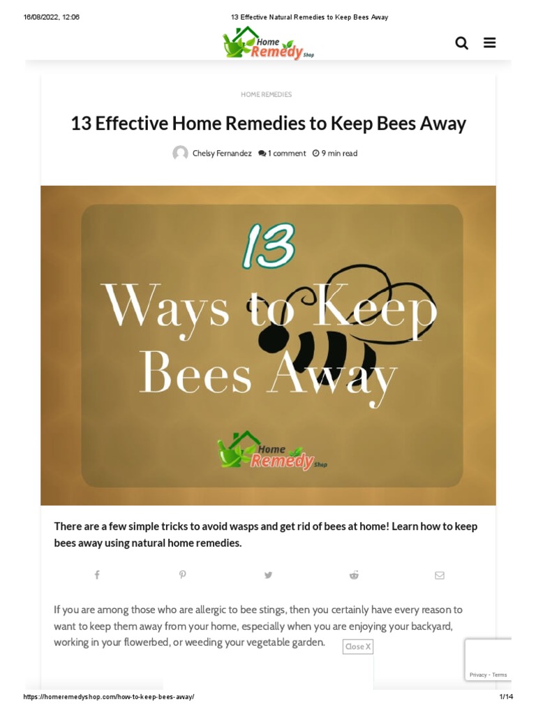 13 Effective Natural Remedies To Keep Bees Away PDF