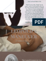 Skills Input - Leopold's Maneuver