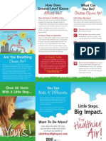 LittleStepsBigImpact TrifoldBrochure