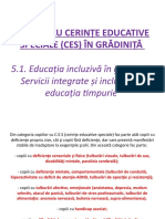 Copii Cu Cerinte Educationale Speciale (Ces) in Gradinita