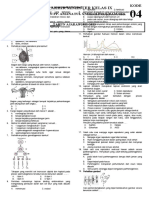 REPRODUKSI MANUSIA