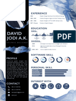 David Jodi A.K.: Experience