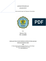 Risna LP Analisis Swot