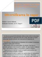 Diversificarea Alimentatiei- Gorciu Mihaela, MG IV, Gr.9