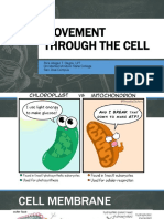 B. Topic 2. Movement Through The Cell