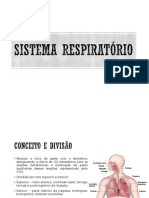 7 - Sistema Respiratório
