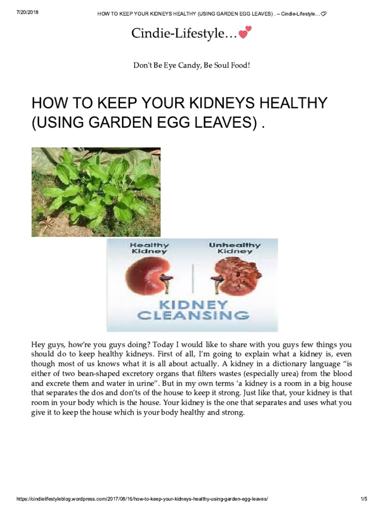 How To Keep Your Kidneys Healthy (Using... en Egg Leaves) PDF