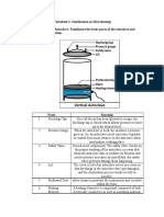 Sterilization in Microbiology Worksheet