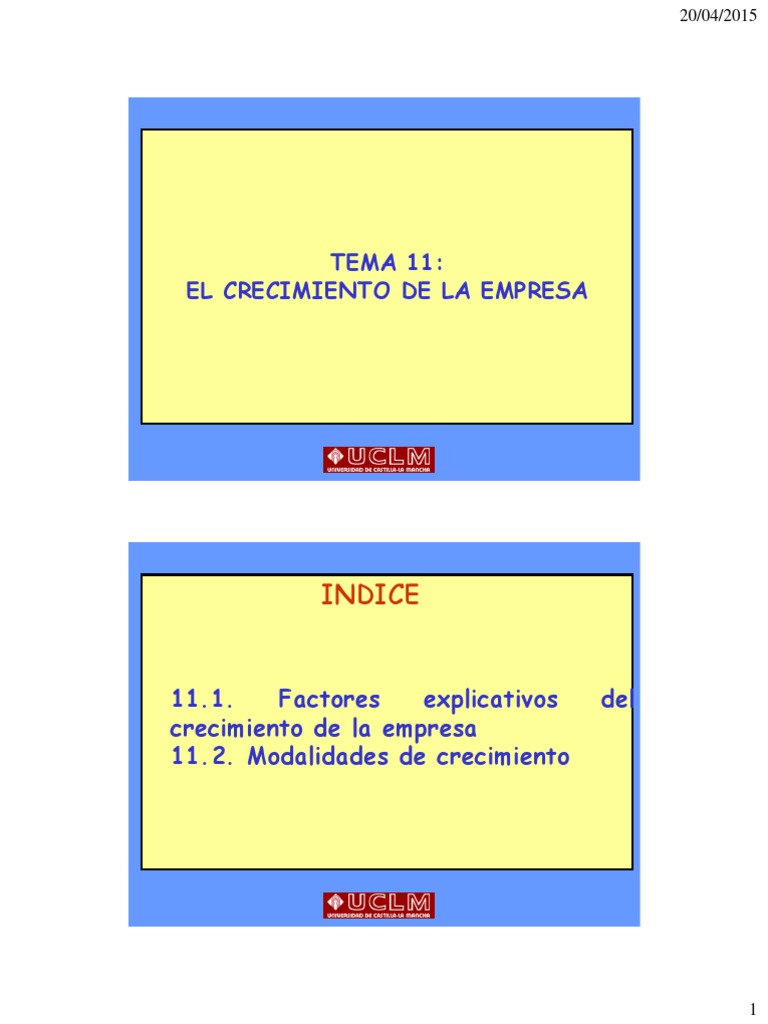 Tema11 - El Crecimiento de La Empresa | PDF | Business ...