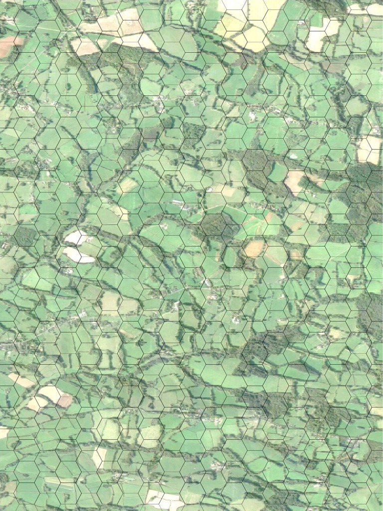 Hex Map | PDF