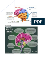 Nervioso Central