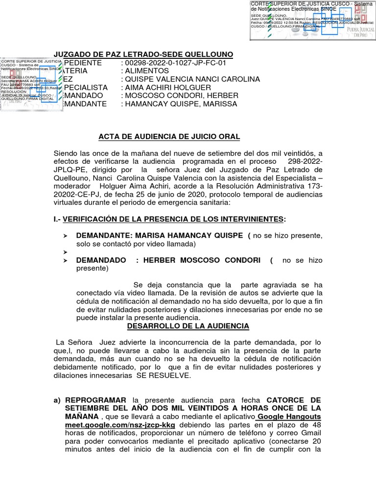 Acta de Audiencia | PDF | Justicia | Crimen y violencia