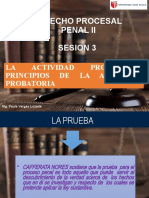 La prueba en el proceso penal: principios y objetos