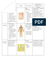 Body Systems Notes 2