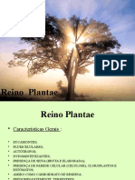 REINO PLANTAE Características Dos Grupos (1)