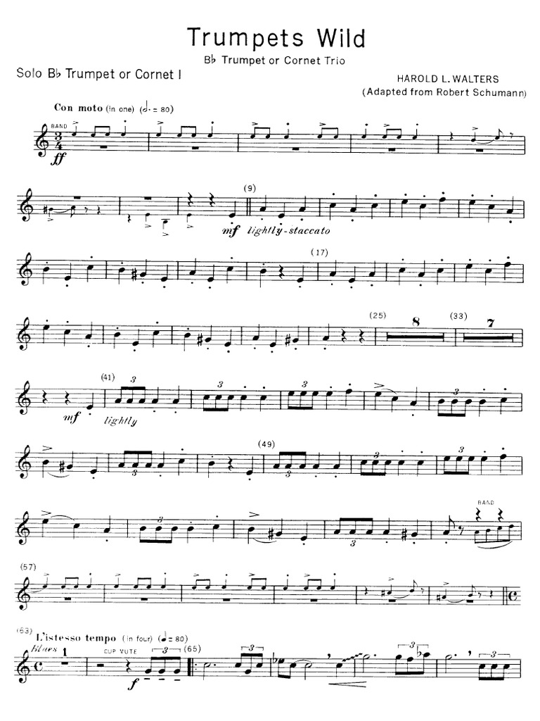 Trumpets Wild Solo1 PDF