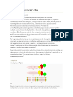 La Cçlula Procariota