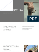 Arquitectura Animal