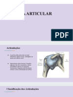 Sistema Articular