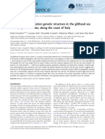 Genetic Structure of Gilthead Sea Bream