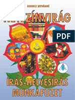 Írás-Helyesírás Munkafüzet