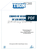 Ensayo de Seguridad y Cuadro Comparativo