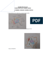 Examen Practico de Farmacobotanica Primera Unidad