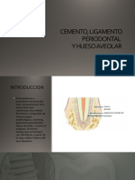 Cemento, ligamento periodontal y hueso alveolar: estructuras del periodonto