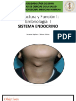 Embrio Endocrino Sesion 06
