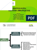 Sistema bronquial histología