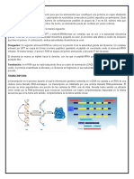 Síntesis de Proteínas 2