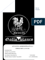 Plan Estrategico Gallo Blanco (1) - 1