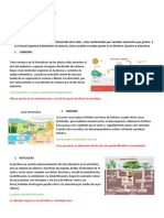 Ciclos Biogeoquimicos