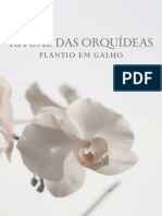 Plantio Em Galho 2d0bedec3cb844c7b160101348d1d76a