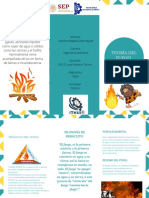 Tríptico Teoría Del Fuego