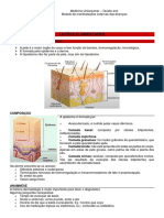 Dermatologia - 4A MIII A3 - Lesões elementares