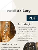 Fóssil Lucy reformulou evolução humana