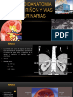 Clase 3-Riñones Vejiga Prostata