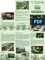 Hydroponics-TechnoGuideF DAR BPI