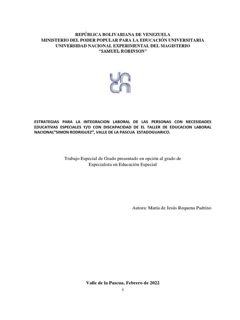 Teg Educacion Especial | PDF | Invalidez | Educación especial