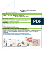 Plan de Trabajo Individual