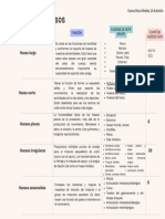 Cuadro Comparativo Tipo de Huesos