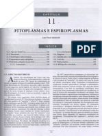 Fitopatologia Vol. 1 - 5º Ed. Completo-177-190