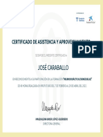 José Caraballo: Certificado de Asistencia Y Aprovechamiento