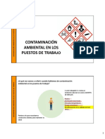 Presentación Contaminación Ambiental de Los PT