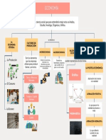 Organizador Visual Economía