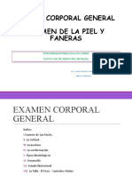 2.- Examen Corporal General