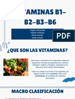 Vitaminas Del Complejo B