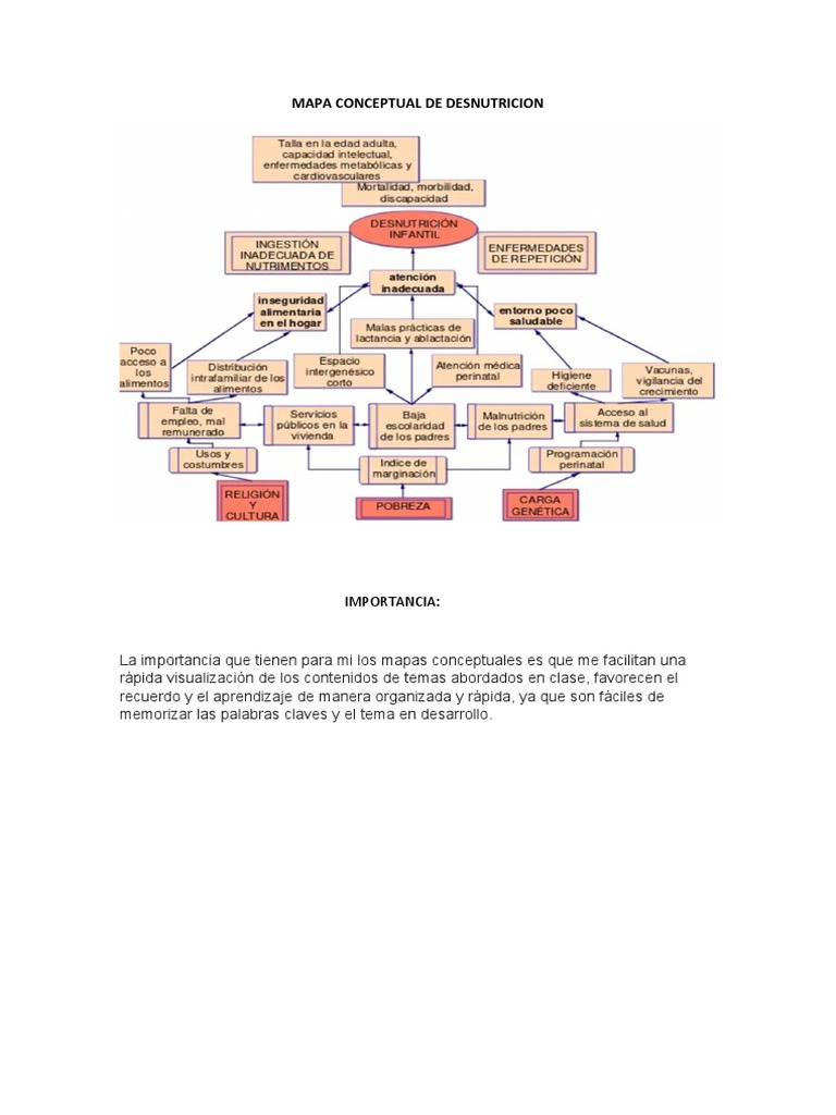 MAPA CONCEPTUAL DE DESnutricion Importancia | PDF