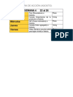 Plan de Acción_agosto_semana 4